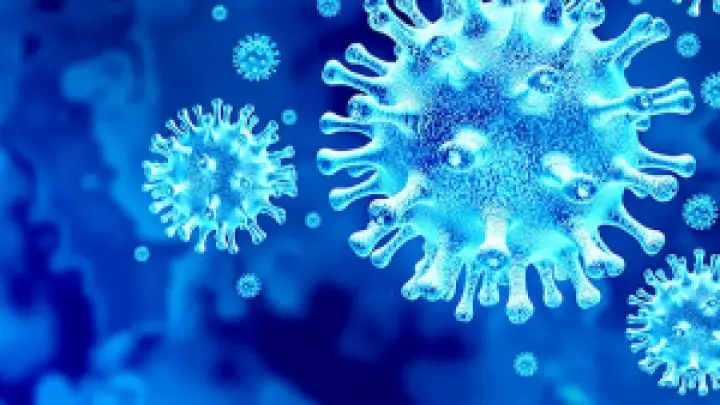 আরও ১৯ জনের করোনা শনাক্ত